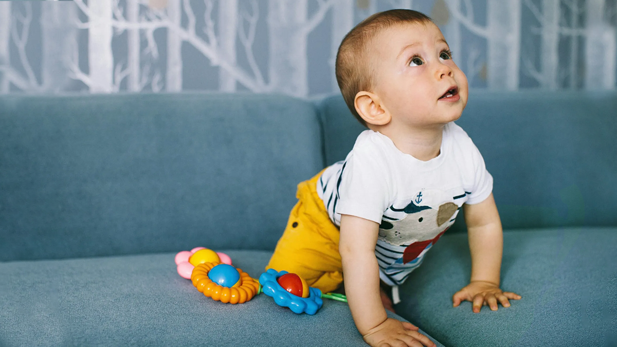 A baby, looking intently and happily offscreen.